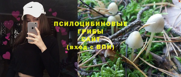 винт Белокуриха
